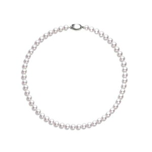 [PHNIBIRD]p[lbNXfB[XlCJWALp[8mmVo[925^lbNX՗p45cmp[eB[tH[}ƎANZT[a̓v[g