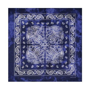 [kakatrend]o_i?yCY[nJ`iߎOpБl100bandanaRbg΂񂾂ȃYfB[X55cmx55cmlCr[