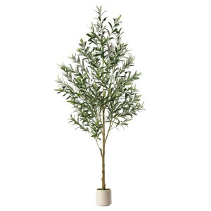 AlupssuclHϗtAy2025̐^vZXV܂zG}I[u̖؂ły180CMzϗt엿͕Kv܂CeAO[ItBX