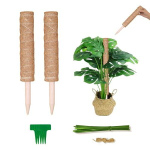 HEDONLEE|Ax2{ZbgwSxAT|[gXe鐫ϗtA{ێK[fjOxԎx(2)