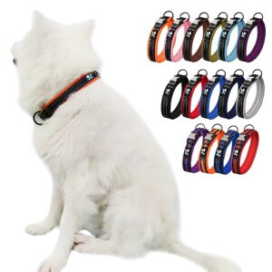 Paipeper̎֌փJ[^^^ybgpiP֒߉\ˌ݌viCqD`[J[((J[Rrl[V)bhXL:2.5*50-65CM)