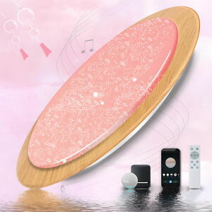 KazvincitaLEDV[OCg6840WalexaΉBluetoothXs[J[2APPRFRGBRtyĐ^C}[XCb`@\铔[h