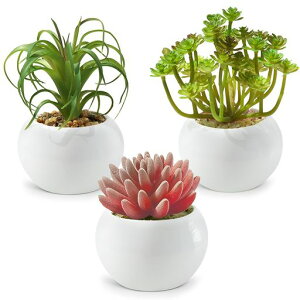 tFCNO[ϗtAtFCNlHϗtAlHAԌG}~jA3CeA~j~̓tFCNO[GݏMtg