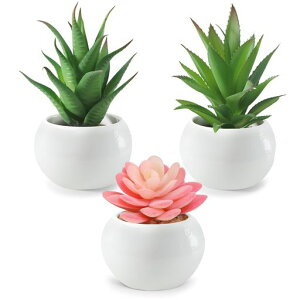 tFCNO[ϗtAtFCNlHϗtAlHAԌG}~jA3CeA~j~̓tFCNO[GݏMtg