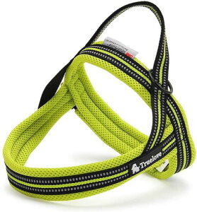 cocomallAɗDpn[lXpTRUELOVE{XhbOybgpion[lX3MˍޗPpiC^A^A^ɌʋC߉\ĂɑΉ(XXc