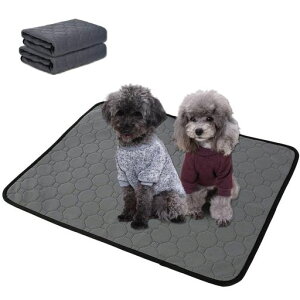 ybgp}bg2Zbgybg}bggCV[g4d\zLybgV[cz~ߒʋCybgp}bgRh~RۊۂƐ􂦂鏬^^LpgCc