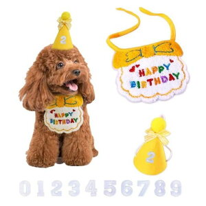 aObYaX^Co[Xf[aXqLaav[gaXq3_Zbgta悾ꂩv[gybgHAPPYBIRTHDAYNX}Xybgc