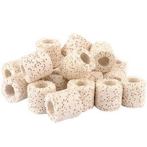 ߍނސϏ܋hߍޗُɉ׋۔|{򉻐PWƊCɓKp(imzCgċzO)