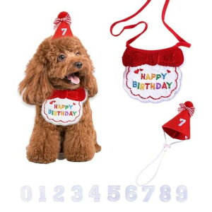 aObYaX^Co[Xf[aXqLaav[gaXq3_Zbgta悾ꂩv[gybgHAPPYBIRTHDAYNX}Xybgc