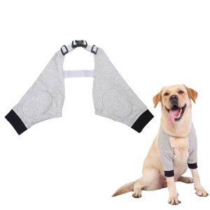 DoyimeOIیOT|[^[p֐߃veN^[pGT|[^[V쌢یIh~rߖh~I^R΍GWEPP֐߉ی܎Ïpیc