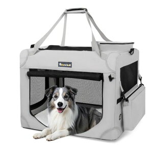 Totoroball\tgN[g^ԂȌpN[g܂肽݃ybgP[W5ʃbV܂肽݊ȒPȃXy[Xϋv\bNtN[g^