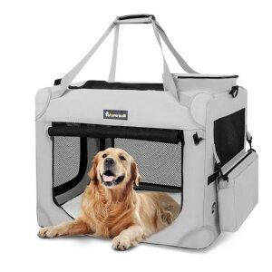 Totoroball\tgN[g^ԂȌpN[g܂肽݃ybgP[W4ʃbV܂肽݊ȒPȃXy[Xϋv\bNtN[g^