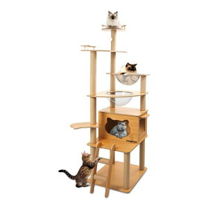 CozyMeowLbg^[ؐXFDu𑝂ރLbgnEX߂ƂL^Lp܂ƂLbgEH[NlCL^[ꂩ킢˂LbgXebc