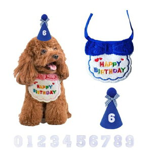 aObYaX^Co[Xf[aXqLaav[gaXq3_Zbgta悾ꂩv[gybgHAPPYBIRTHDAYNX}Xybgc