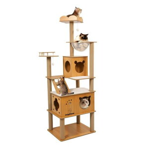 CozyMeowLbg^[ؐXFDu𑝂ރLbgnEX߂ƂL^Lp܂ƂLbgEH[NlCL^[ꂩ킢˂LbgXebc