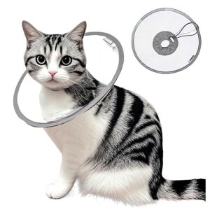 LpE^pGUxXJ[AEyʁEKEhAp㏝یցAErߖh~E~h~A\(M)