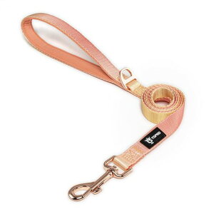 TSPROp[hyʐ݌vNbVnh&vȋXibvtʋCOf[VJ[^~^pUEjOΉ(IWECG[Orange-Yellow)