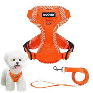 ybgpn[lX&[hZbgn[lX^L^ꌢp֕SȂ_ubNbVɂȒPCkhbOoUOo(IWM)