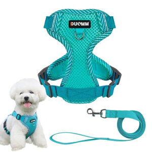 ybgpn[lX&[hZbgn[lX^L^ꌢp֕SȂ_ubNbVɂȒPCkhbOoUOo(CNu[M)