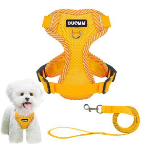 ybgpn[lX&[hZbgn[lX^L^ꌢp֕SȂ_ubNbVɂȒPCkhbOoUOo(CG[M)