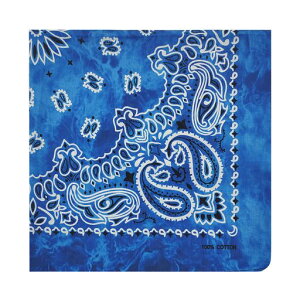 [kakatrend]o_iyCY[100%iߐFOpБlnJ`Rbg΂񂾂ȃjZbNXhD[O唻YXJCu[55cmx55cm