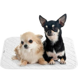 KYG􂦂ybgV[c}bggC~}bgybg}bgۂƐ􂦂銊~ߒJԂgLp(zCg67x50cm1)