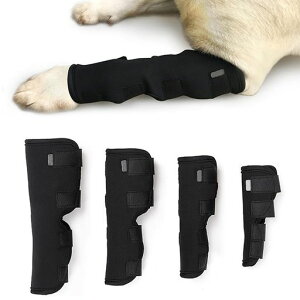 ru[XpT|[^[O둫̑veN^[܎Ê֐߃veN^[rߖh~h~^^^pEFAybgpT|[^[̕ی쒲߉\_c