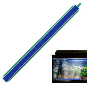 ANAEGAXg[GA[Xg[oufBt[U[4mmGA`[uɓKCA̋ψꐫ̎_fZx̏㏸VO|[g̃GAXg[o[o[Ȃ