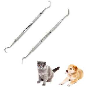 YIBOOOMpuVXeXybgpLEp2Zbg