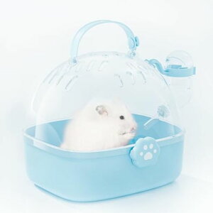 BUCATSTATEnX^[L[oP[WL[obOP[Wsa@ړ|płP[Xu[