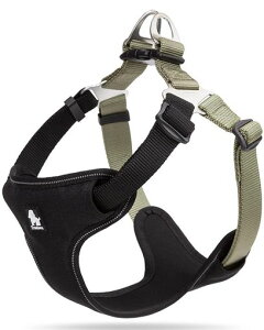 cocomallpn[lXpփhbOybgpi3MˍޗPiC^A^A^ɌoʋC߉\(LubN)