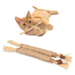 PAKESILނ᎕_܂ѓVRؖ2{VRSރXeBbÑN[jOŔ얞^sXgX