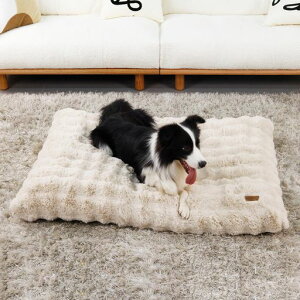 BingoPawpxbh^h􂦂120x90cmx[WybgxbhNbV~łjȂ}bgʔN