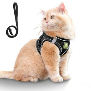 yLn[lXȂzXINIDEALpn[lXh~yʁEʋCfޒEȒPTCY߉ˍގgp^`^LΉUEʉ@EЊQp(ubNS)