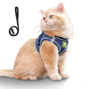 yLn[lXȂzXINIDEALpn[lXh~yʁEʋCfޒEȒPTCY߉ˍގgp^`^LΉUEʉ@EЊQp(lCr[u[S)