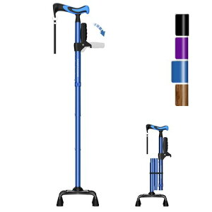 KingPavonini4{jpjp⏕nhXebL8iKߐ܂肽݉lԍHwnhhV̓v[g(u[)