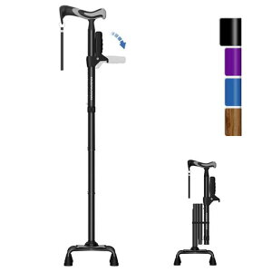 KingPavonini4{jpjp⏕nhXebL8iKߐ܂肽݉lԍHwnhhV̓v[g(ubN