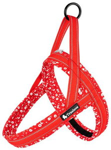 cocomall2025ŐVAɗDn[lXTRUELOVE{Xpn[lXpփhbOybgpi3MˍޗPlIvfޏ^A^A^ɌʋC߉\ĂɑΉ(|Cc