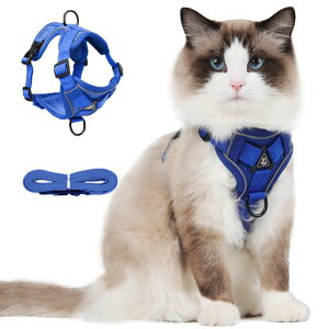 PaipeperLn[lXփ[hȂ_ubNLpiIV^pˑfނ킢bVyʒʉ@ЊQU10FWJ(Cu[L)