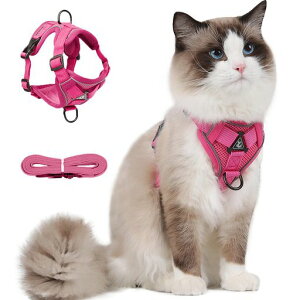 PaipeperLn[lXփ[hȂ_ubNLpiIV^pˑfނ킢bVyʒʉ@ЊQU10FWJ([YsNL)