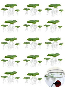 LYHMHAMYlHELNT36Zbg(3TCYxe12)lHpANAEA_JȐكfR[VvX`bN