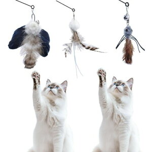 3ofNiLL炵LlCފ(1{)pH(3_)