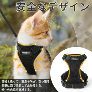 RabbitgooLn[lXLpn[lX[hZbgLp^^Ȃ\tgČyʓ֒ʋCbVグTCY߉锽ˊPݖh~lRUOoЊQc