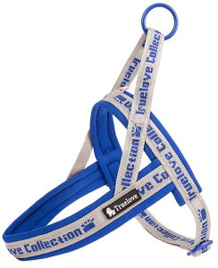 cocomallAɗDn[lX2022ŐVTRUELOVE{Xpn[lXpփhbOybgpi3MˍޗPolIvfޏ^A^A^ɌʋC߉\ĂɑΉ(XXXS