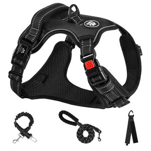 NESTROADn[lXp֒߉\Ԕˏ^/^/^ʋCbVs⏕UpyʈSh~hbOPČHc(ubNL)