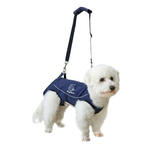 MayChanC`IWis⏕n[lX3MˍޖhybgXOLA[VobOpobOV̉ɋr̉ɑ̎キȂVɃybgpi^c