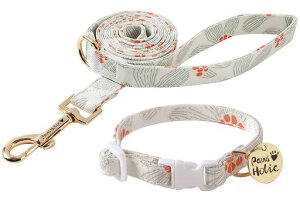 Neskatuփ[hZbg^^^p[hւ킢zRbgyʒ߉\h~Uopybgpi\tg(Ã[hXSTCY)