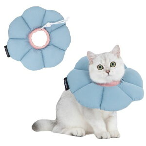 GUxXJ[Lpp\tghyʎp㏝یrߖh~~h~EHWȂu[̉Ԃ̌`LTCY