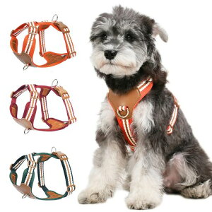 Paipepern[lX^^n[lXp֋ăhbOEGAh~p\ȒPꂨU((XgCve[v)IWL)