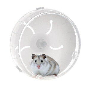 IRRVINnX^[񂵎ԃTCgzC[nX^[萫ÂSpzC[P[WtyȗVя^XgXP[WANZT[nX^[S[fnc